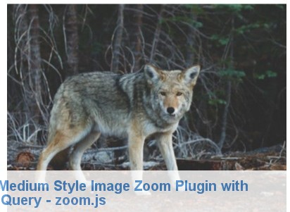 jquery image zoom plugins